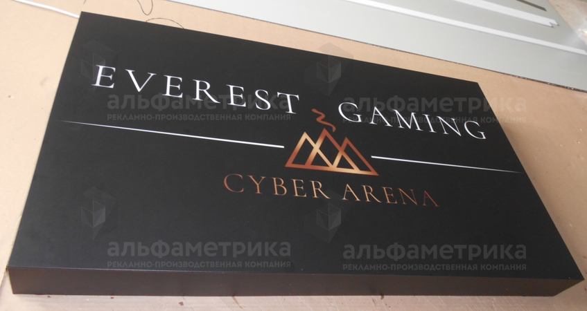Вывеска cyber arena EVEREST GAMING на ул. Свободы , фото